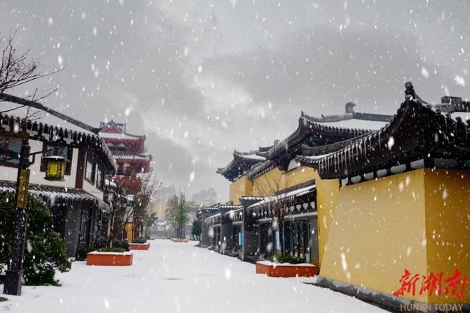 【图集】冬遇常德丨徐忠诚：柳叶湖听雪