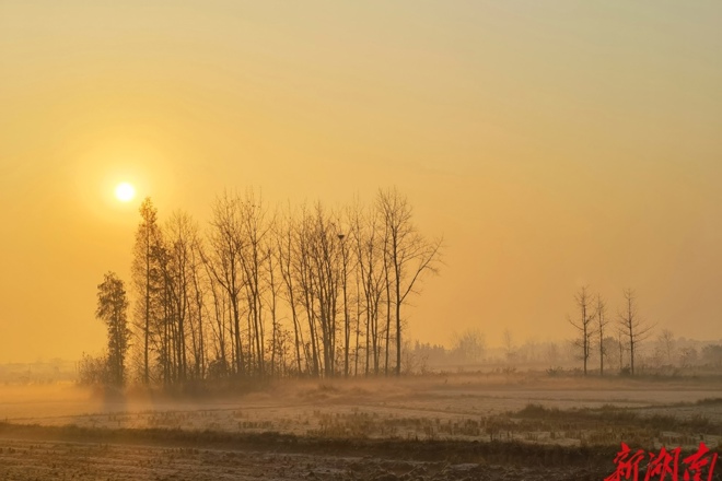 【图集·冬遇常德】卢健：常德冬韵拾影