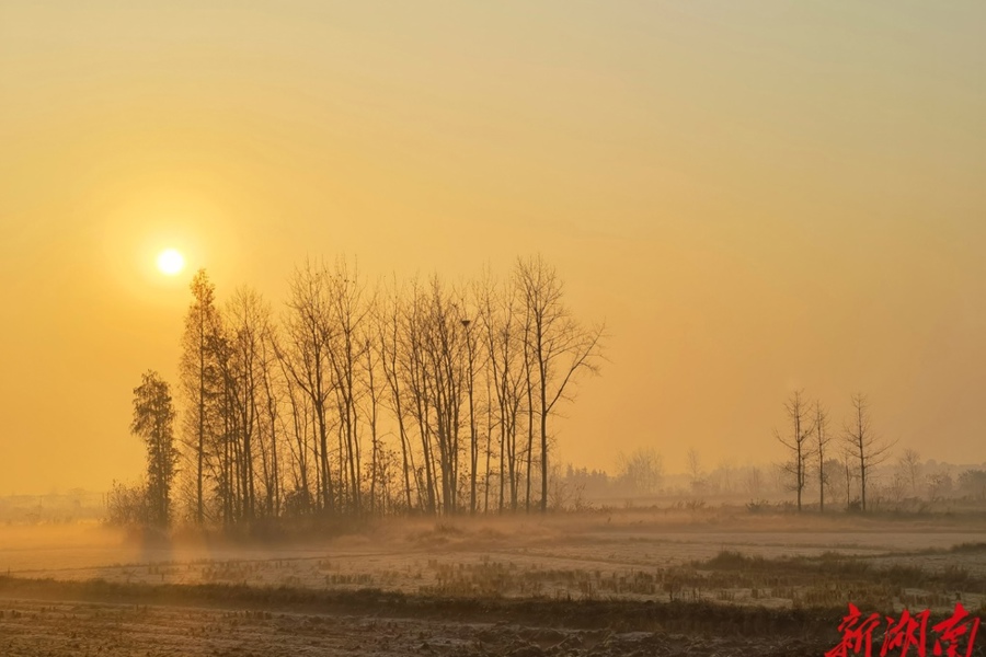 【图集·冬遇常德】卢健：常德冬韵拾影