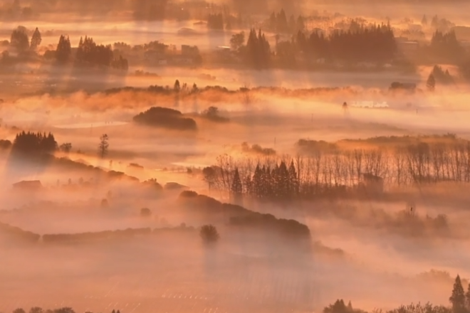 【图集·冬遇常德】安乡雾晓图