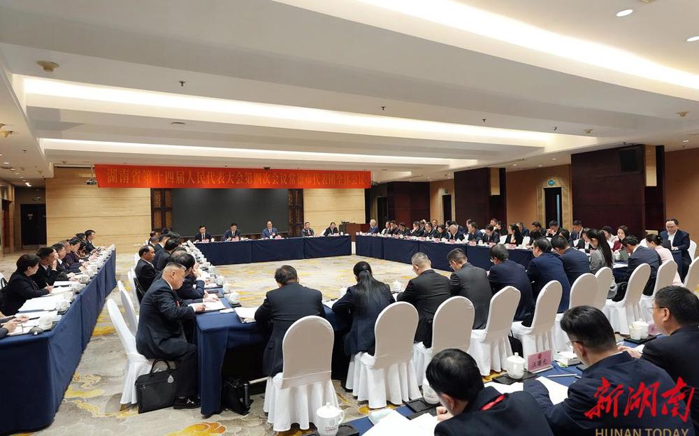 毛伟明参加常德市代表团审议