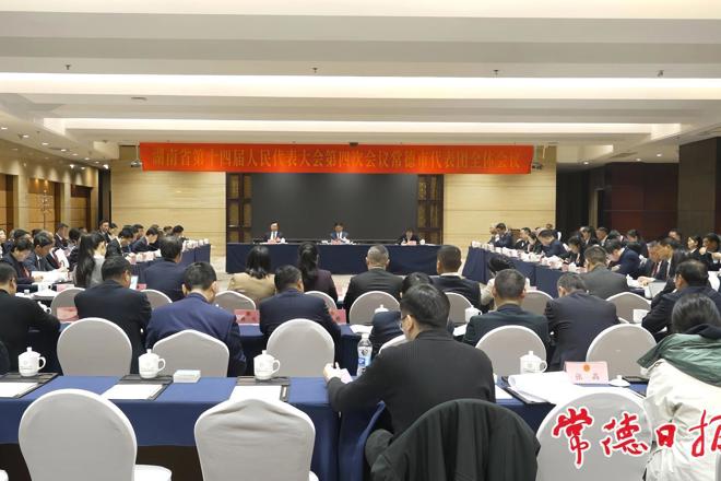 常德代表团集中审议政府工作报告