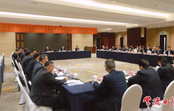 常德代表团集中审议省人大常委会工作报告
