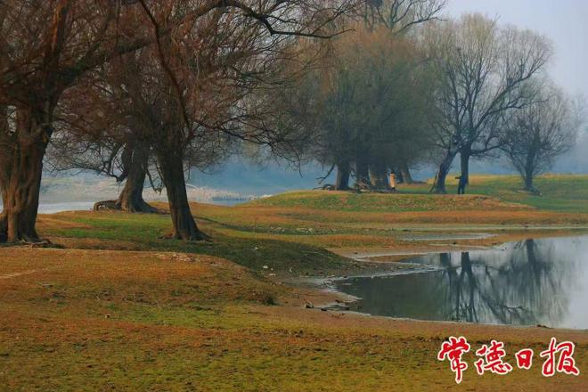 【组图】这个春节，回家把思念拍成壁纸！