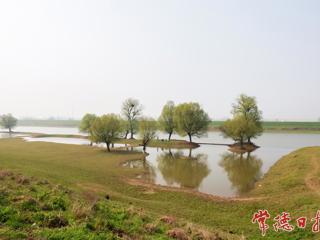 【组图】春风又绿流花口