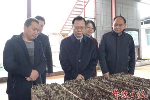 周振宇调研春耕备耕和防汛安全工作