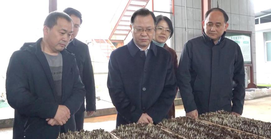 周振宇调研春耕备耕和防汛安全工作