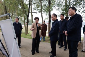 周振宇赴鼎城区谢家铺镇港中坪村、常德河街调研