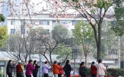 【组图】津市：正是春花烂漫时