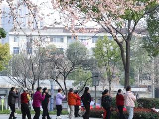 【组图】津市：正是春花烂漫时