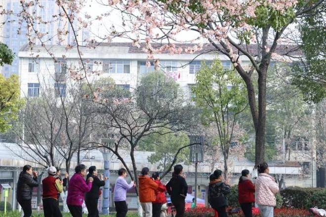 【组图】津市：正是春花烂漫时