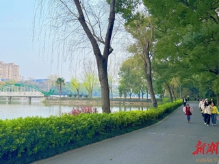 【文旅】春色满园 万物复苏