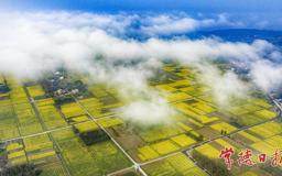 【文旅】去沅江中央，过向往的春天