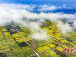 【文旅】去沅江中央，过向往的春天