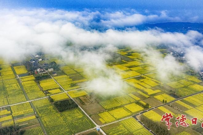 【文旅】去沅江中央，过向往的春天