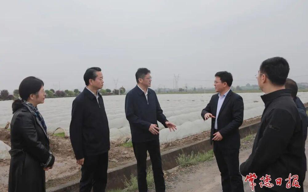 罗毅君赴桃源县调研