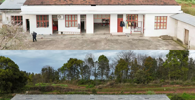 桃源县：一场跨越雨季的“孝心接力”九旬烈母漏屋换新颜