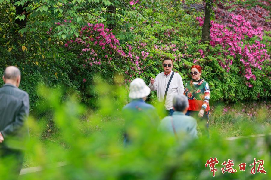 【组图】雨歇云开见日明 常德市民乐享春末好光景