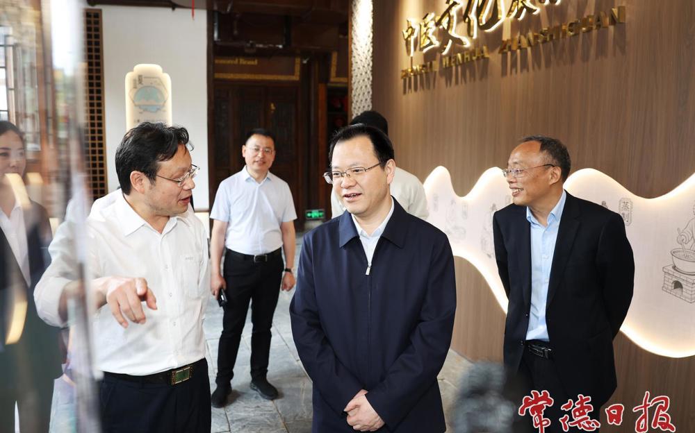 常德河街中医（非遗）街开街