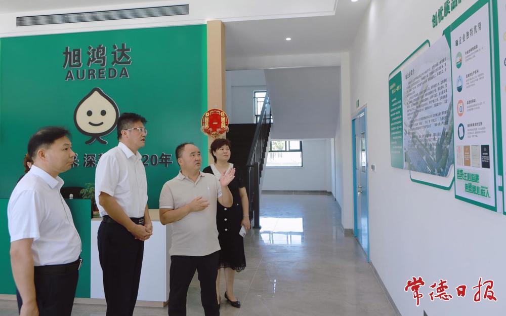 罗毅君在安乡县调研