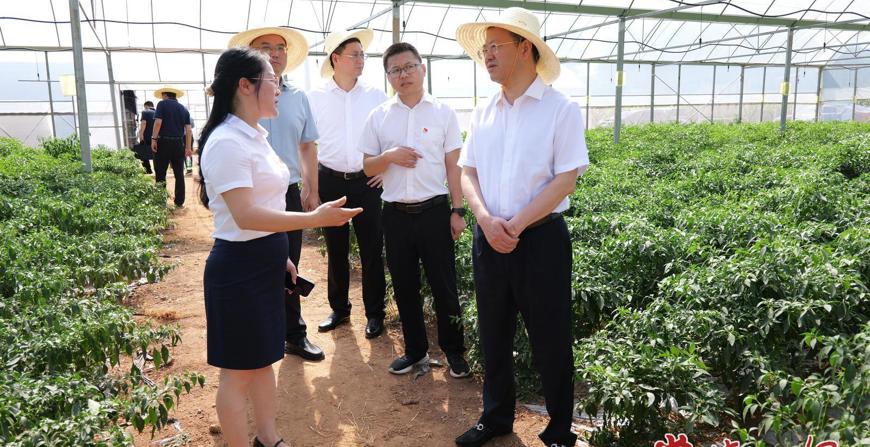 周振宇赴桃源县热市镇调研并讲授专题党课