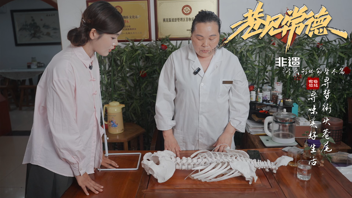 巷见常德非遗系列之李氏形体筋骨术