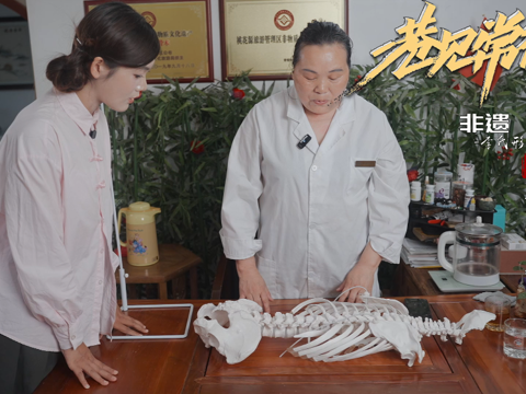 巷见常德非遗系列之李氏形体筋骨术