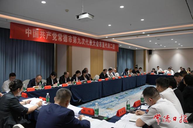 周振宇参加代表团讨论