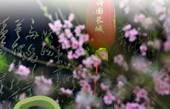 诗墙手机影像创作公益班邀您共赴光影之约！