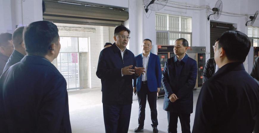 罗毅君在桃源县调研