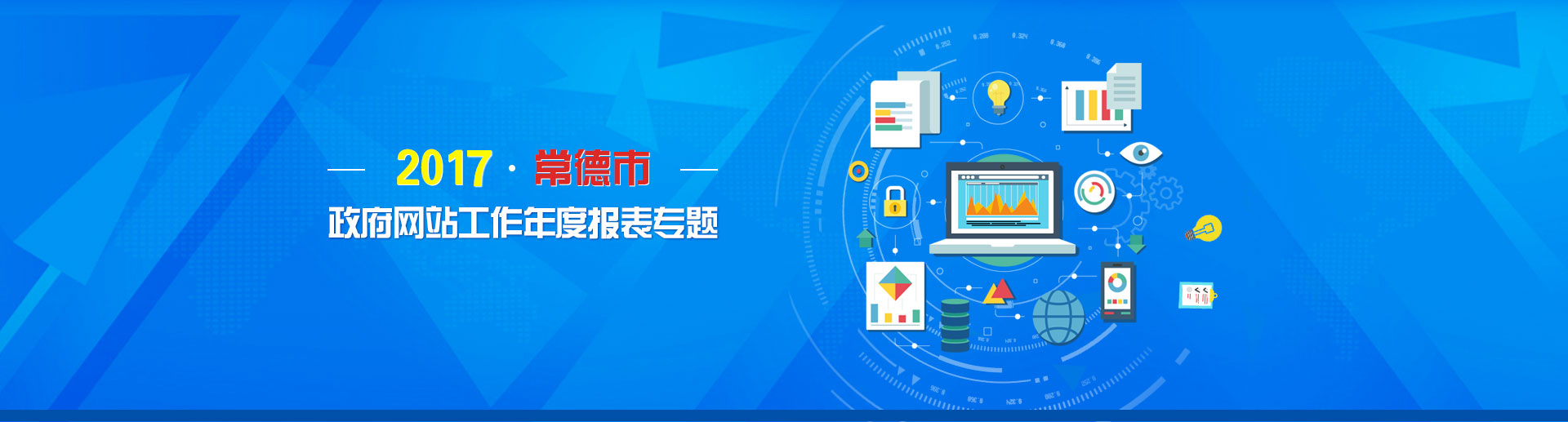 2017年政府网站工作年度报表专题