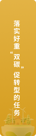 落实好重"双碳"促转型的任务