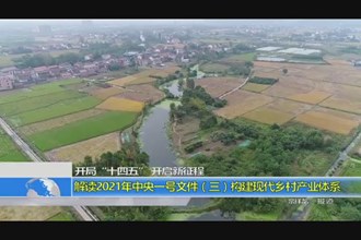 构建现代乡村产业体系