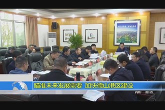 瞄准未来发展需要 加快德山港区建设