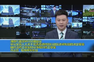 湖南代表团举行分组会议 审议全国人大关于完善香港特别行政区选举制度的决定草案 组织法修正草案和议事规则修正草案 许达哲 毛伟明等参加