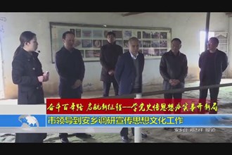 奋斗百年路 启航新征程 学党史悟思想办实事开新局