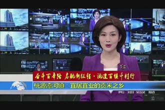 桃源漆河镇：宜居宜业的贡米之乡