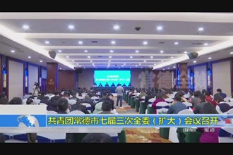共青团常德市七届三次全委(扩大)会议召开