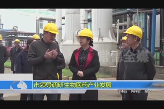 市领导调研生物医药产业发展