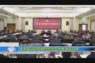 全市政法队伍教育整顿工作推进会召开
