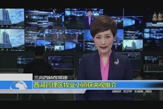 三高四新在常德(4.12)