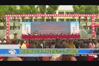 国家级技能大师刘建临澧工作站揭牌