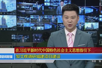 邹文辉调研城建项目建设
