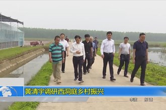 黄清宇调研西洞庭乡村振兴