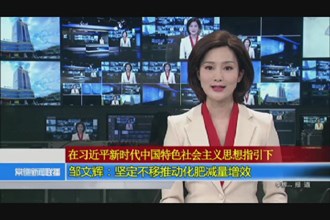 邹文辉：坚定不移推动化肥减量增效