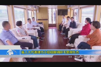 省人大代表津市小组视察调研毛里湖生态