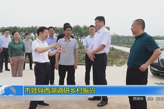 市领导西湖调研乡村振兴