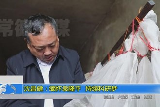 沈昌健：缅怀袁隆平 持续科研梦