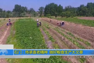 石门：传承袁老精神 做好粮食生产大文章