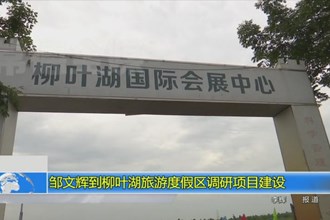 邹文辉到柳叶湖旅游度假区调研项目建设